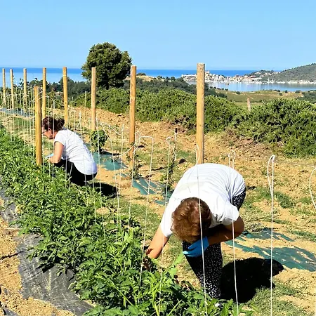 Séjour à la ferme La Vista - Adults Only Fonteblanda