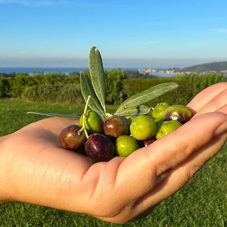 Séjour à la ferme La Vista - Adults Only Fonteblanda