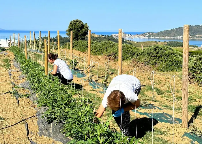 Gospodarstwo agroturystyczne La Vista - Adults Only Fonteblanda