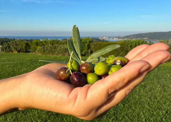 Gospodarstwo agroturystyczne La Vista - Adults Only Fonteblanda